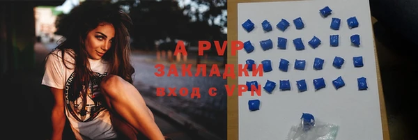 ешки Алексин