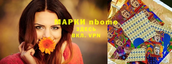 ешки Алексин